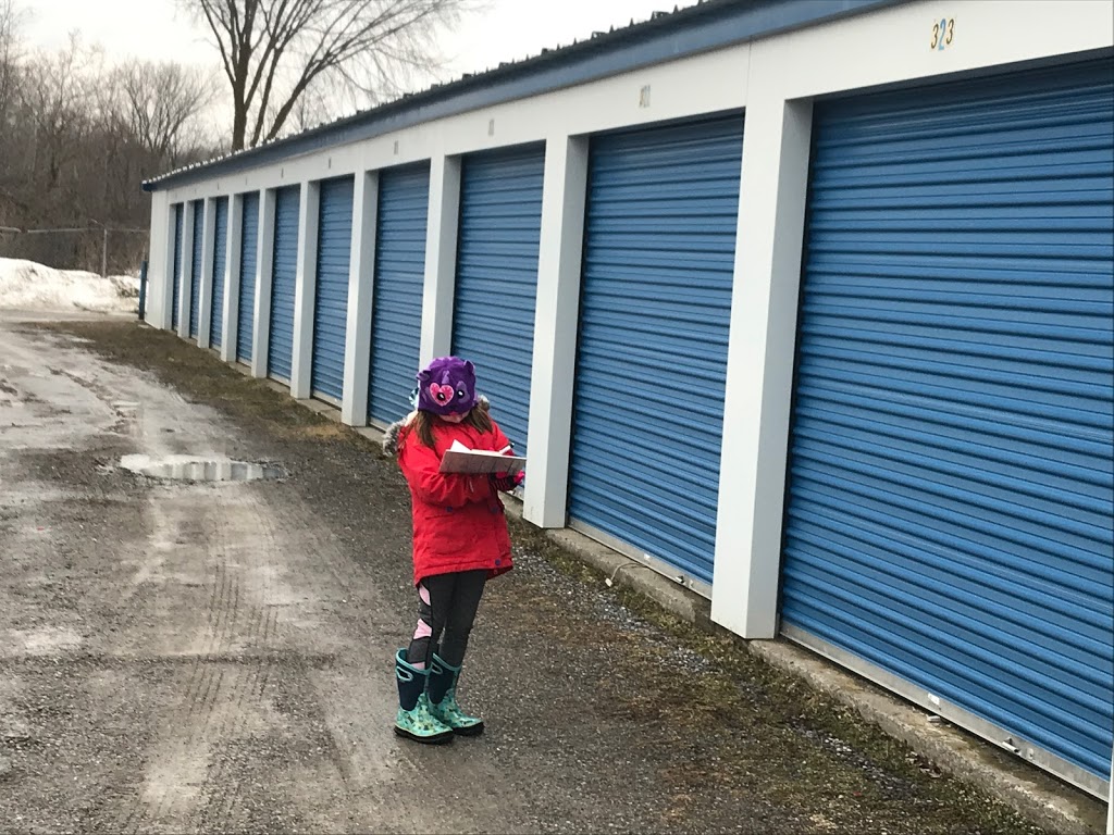 Lockdown Storage | 2141 Little Britain Rd, Lindsay, ON K9V 4R2, Canada | Phone: (705) 344-7763