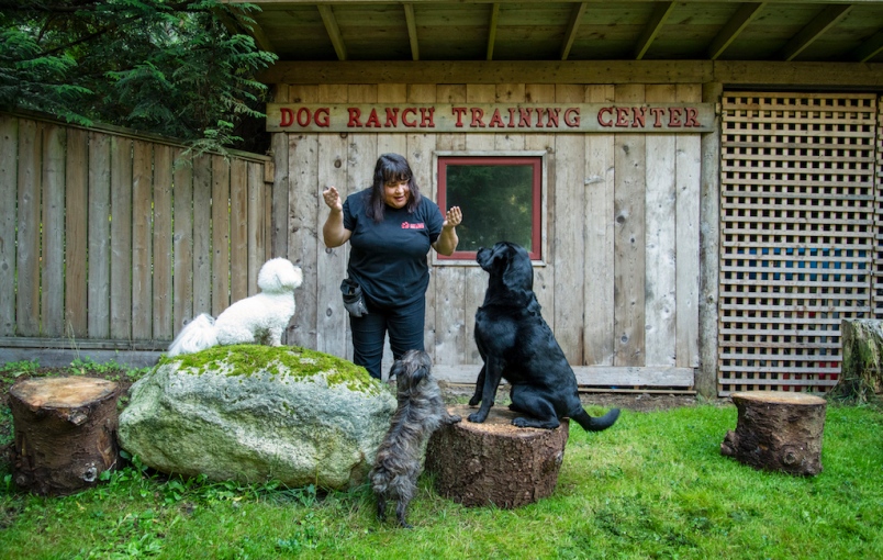 Bowen Island Dog Ranch | 1302 Adams Rd, Bowen Island, BC V0N 1G0, Canada | Phone: (604) 947-6965