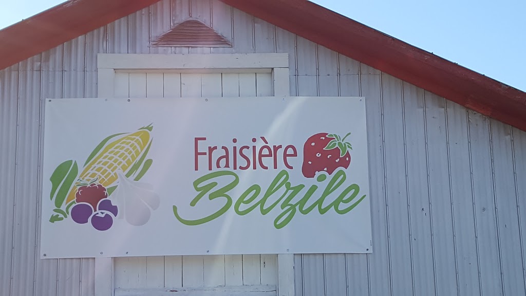 Fraisière Belzile | 19 Rte Principale, Saint-Arsène, QC G0L 2K0, Canada | Phone: (418) 862-6183