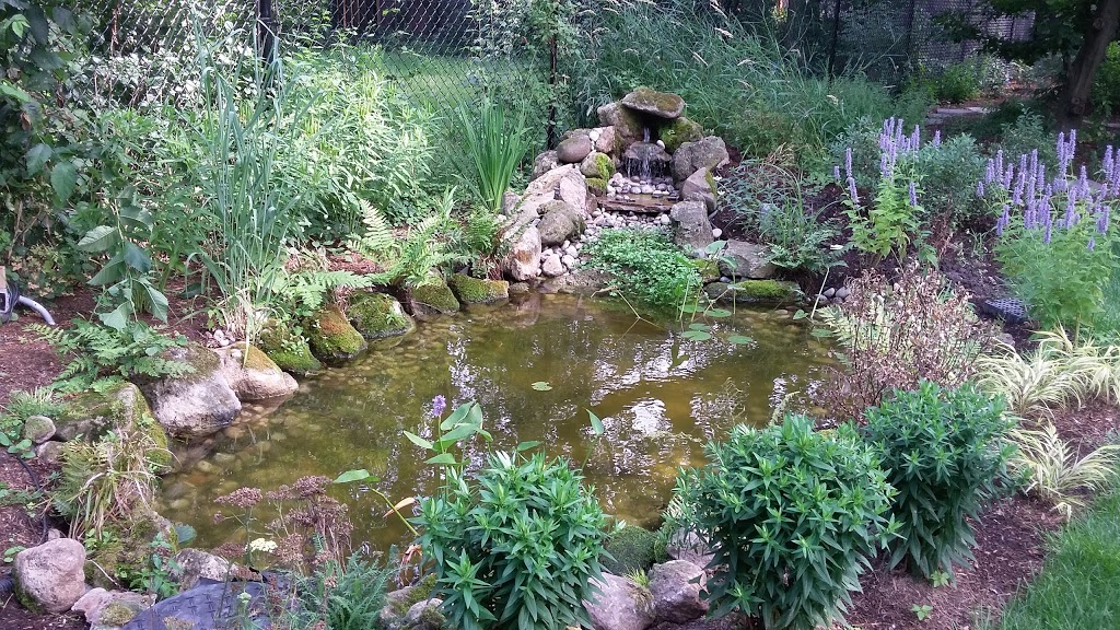 Fern Ridge Eco Landscaping Inc. | 7388 Guelph Line, Milton, ON L0P 1B0, Canada | Phone: (905) 876-4852