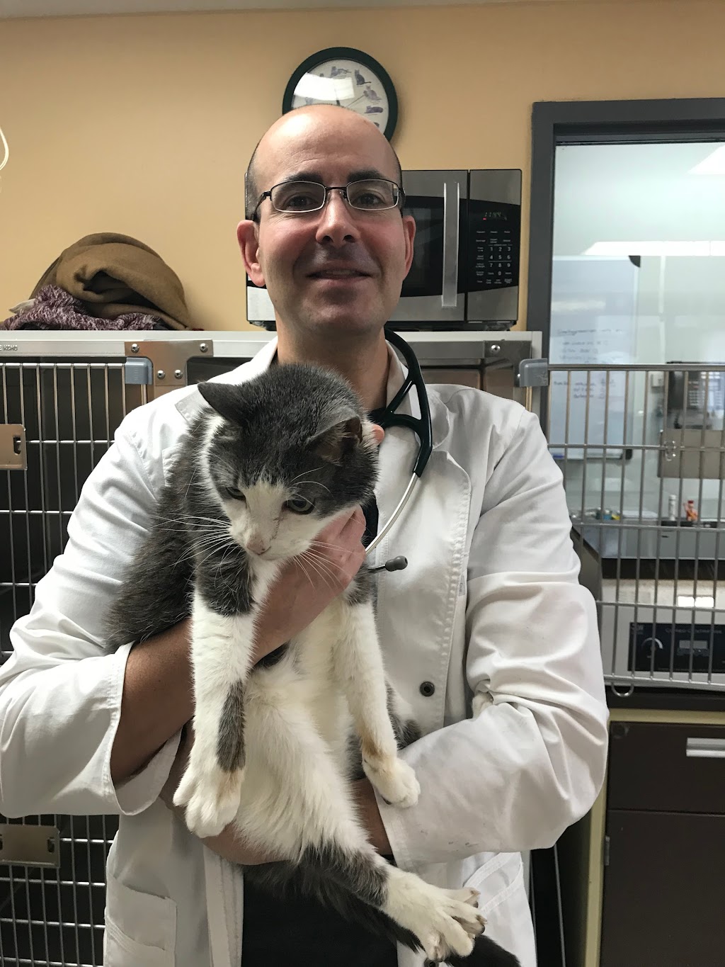 Medecin Veterinaire St-Louis | 3928 Rue St-Hubert, Montréal, QC H2L 4A5, Canada | Phone: (514) 282-1161