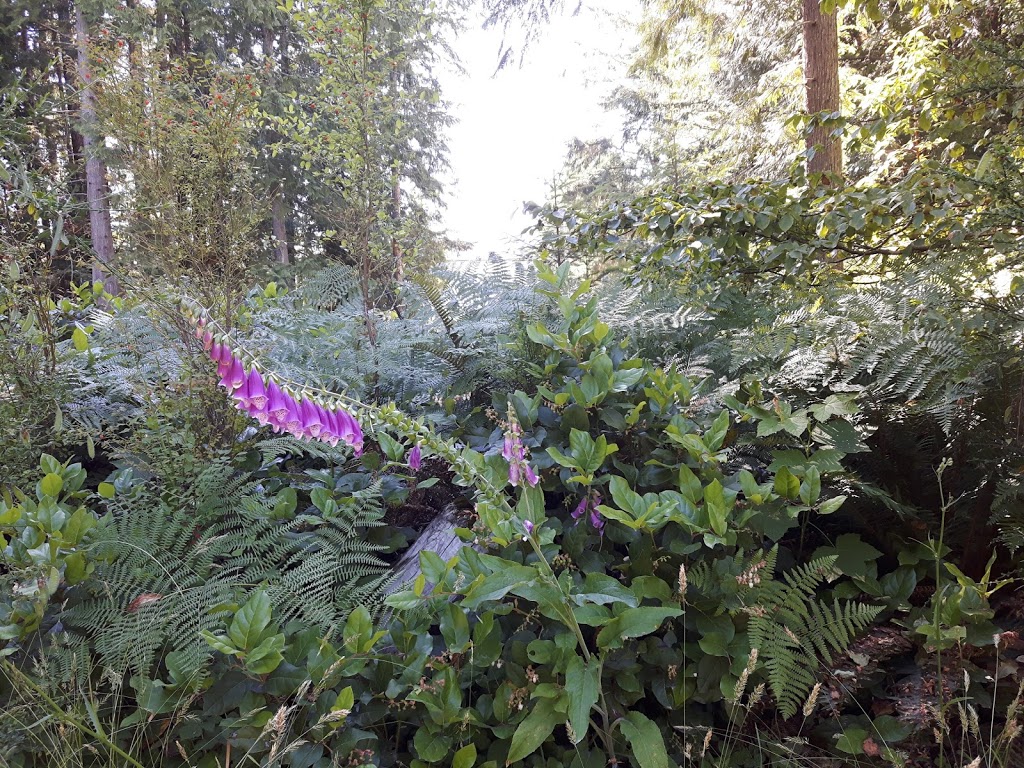 Bayside Campground & RV Park | 6040 Sechelt Inlet Rd, Sechelt, BC V0N 3A3, Canada | Phone: (604) 885-7444