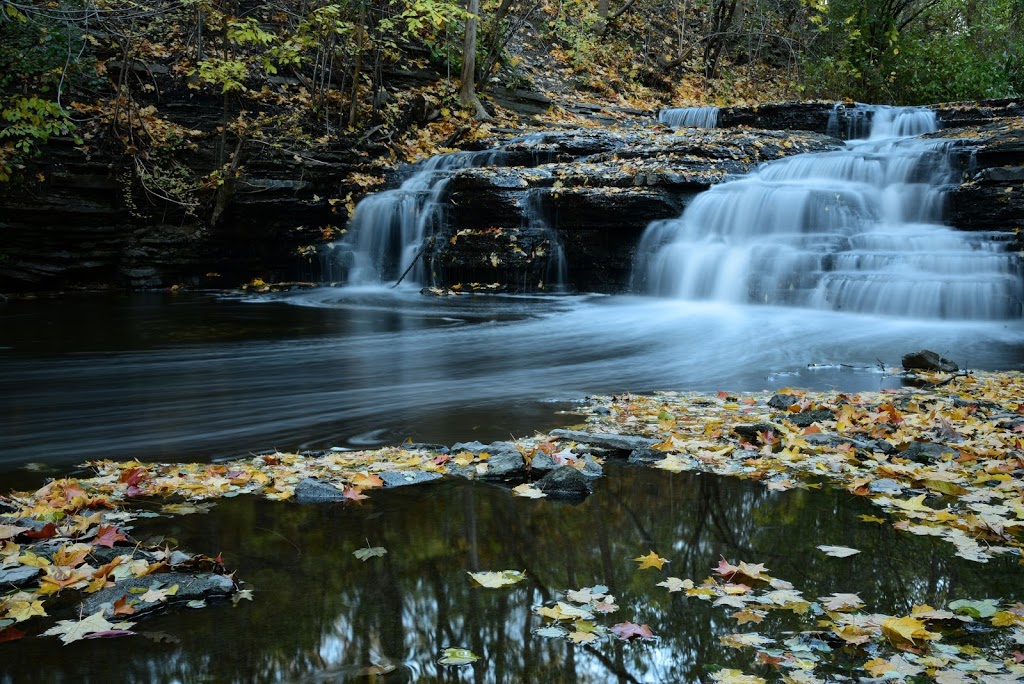 Ruisseau-De Montigny Nature Park | Anjou, QC H1J 2Y2, Canada | Phone: (514) 872-3434