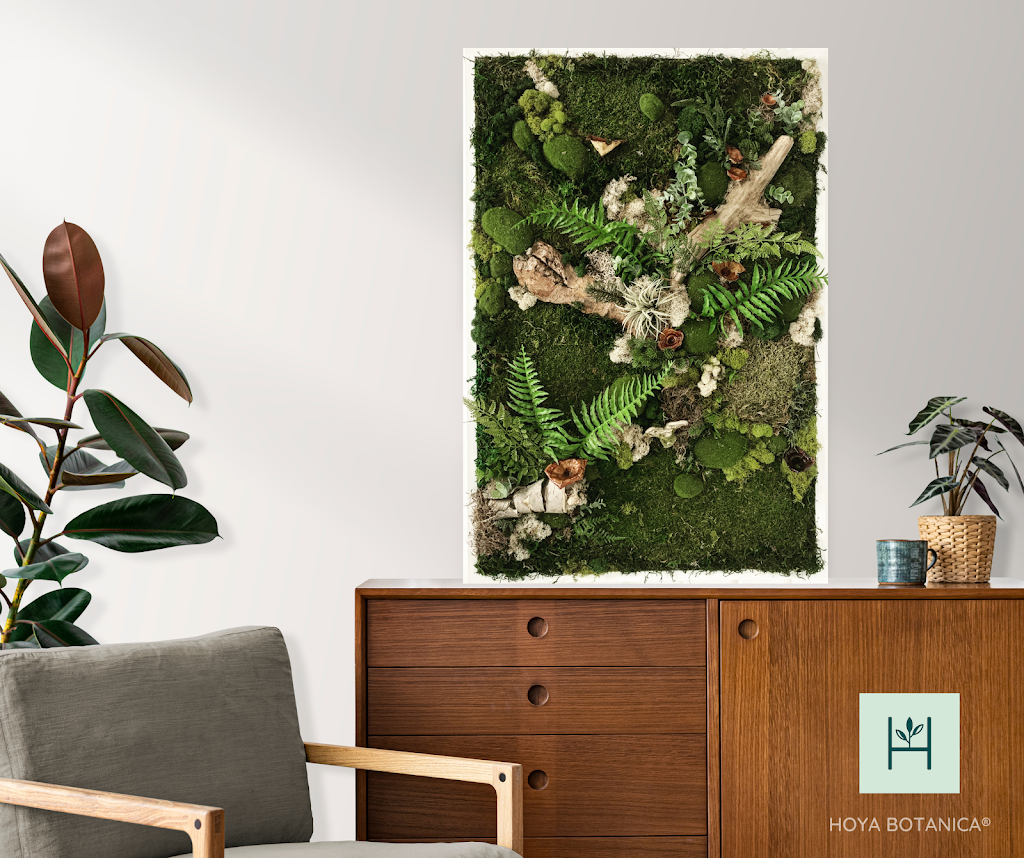 Hoya Botanica | Rue des Saules, Saint-Liboire, QC J0H 1R0, Canada | Phone: (450) 230-3718