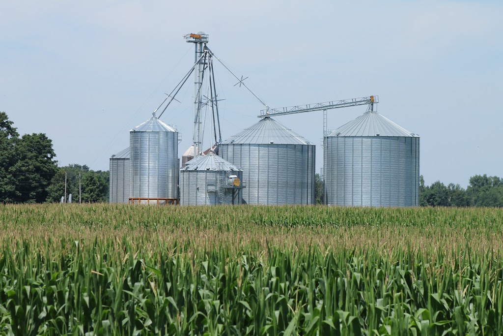 Heinrich Farms Ltd. | 82200 Harlock Line RR1, Londesborough, ON N0M 2H0, Canada | Phone: (519) 440-7517