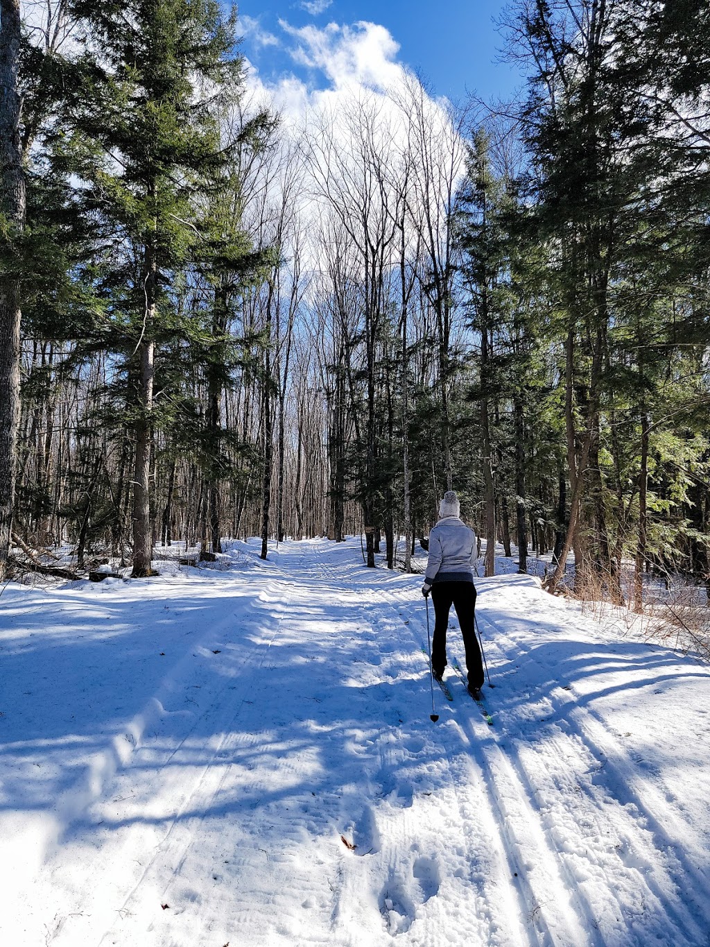 Silent Lake Provincial Park | 1589 Silent Lake Park Road, Bancroft, ON K0L 1C0, Canada | Phone: (613) 339-2807