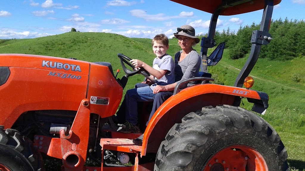 Ferme Des Camerises | 5011 Chemin St Louis, Alma, QC G8E 1A6, Canada | Phone: (418) 487-4883