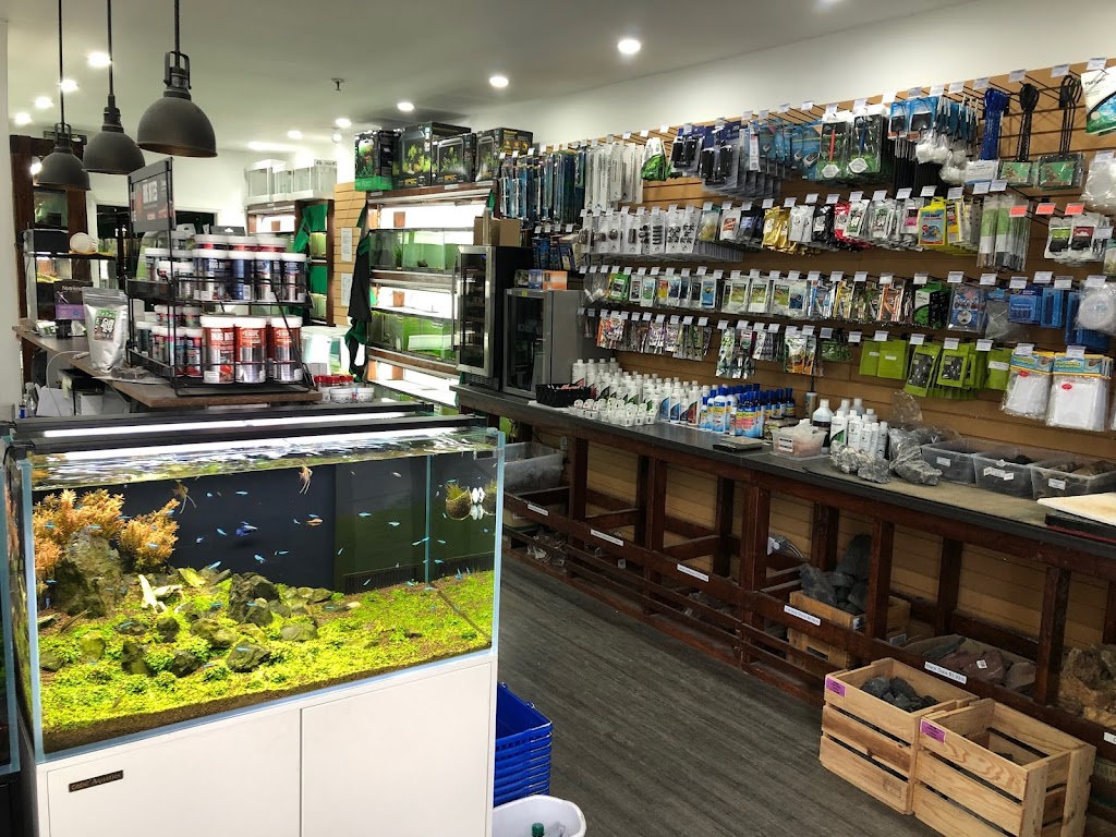 ShrimpFever Aquarium | 210 Silver Star Blvd Unit 801, Scarborough, ON M1V 5J9, Canada | Phone: (647) 667-6161