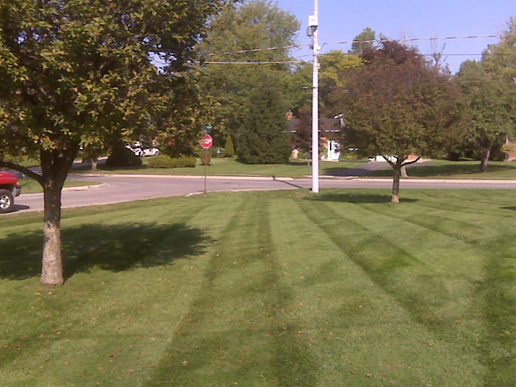 The Yard Doctor | 512 Hibernia St, Stratford, ON N5A 7H9, Canada | Phone: (519) 271-2926