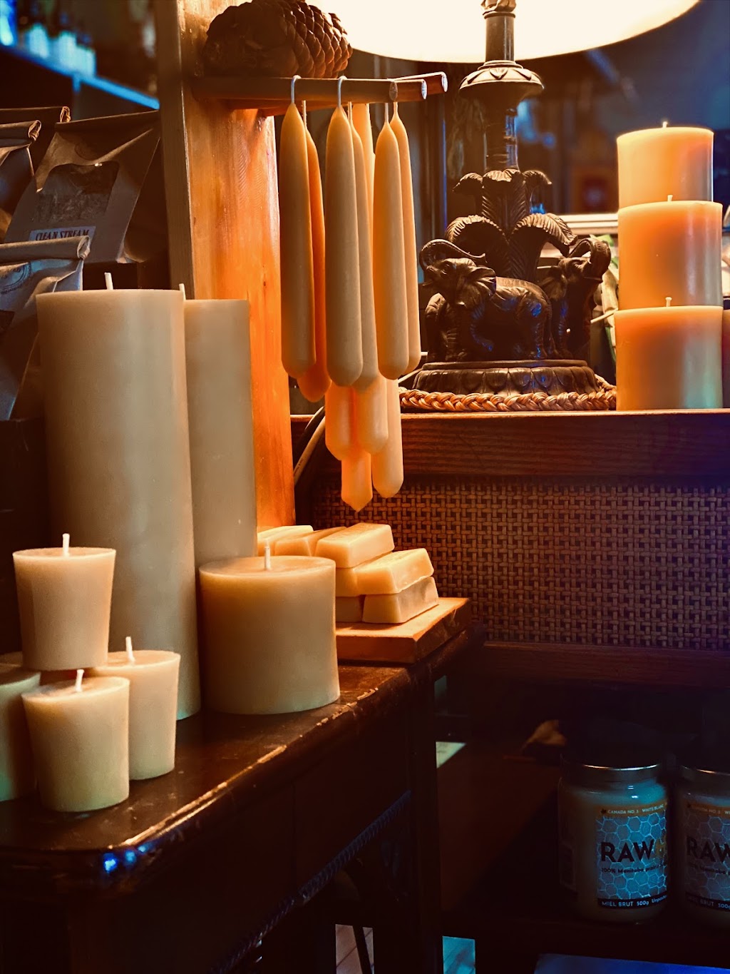 Hollow Reed School of Healing Arts | 100 Rue des Ruines du Monastere, Winnipeg, MB R3V 1B9, Canada | Phone: (204) 786-0820