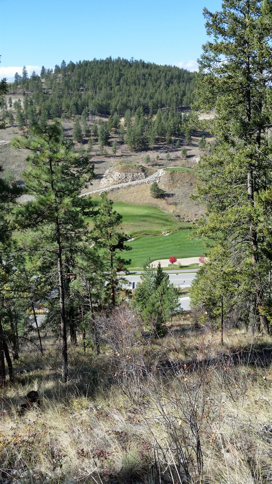 Black Mountain View Point | 1035 Stockley St, Kelowna, BC V1P 1S4, Canada