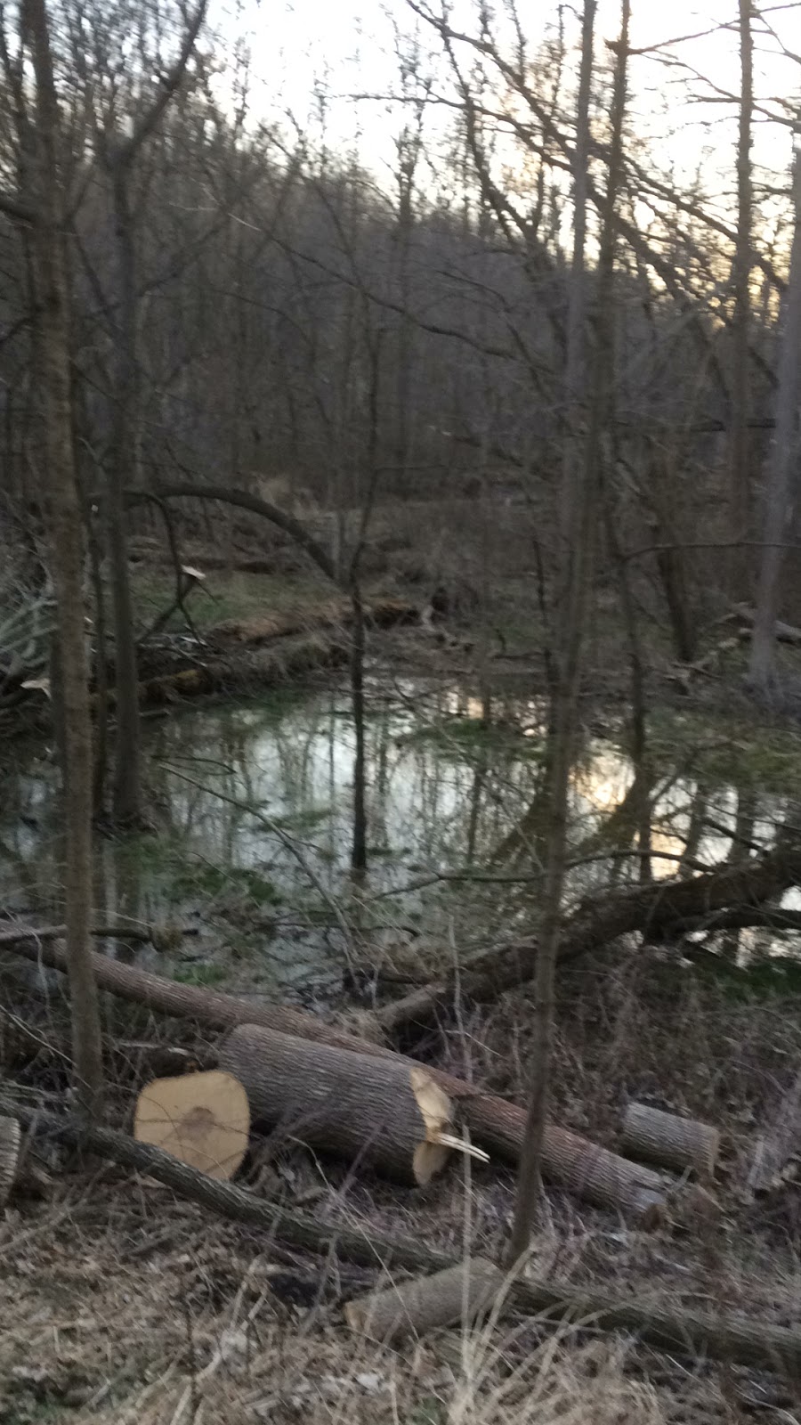 Little John Park | 10 Rogers Rd, Dundas, ON L9H 4E4, Canada | Phone: (289) 887-2174
