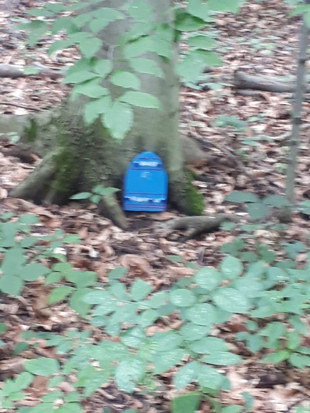 Walker Woods | New Hamburg, ON N3A 0A3, Canada