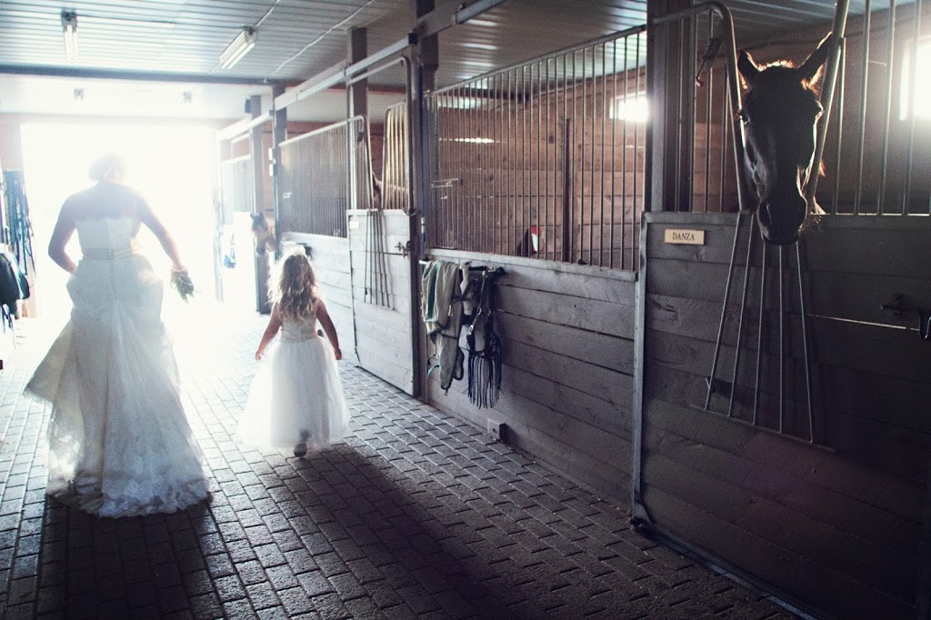Sandra Stephenson Photography | 80 Katemore Dr, Guelph, ON N1L 1T7, Canada | Phone: (519) 400-3413