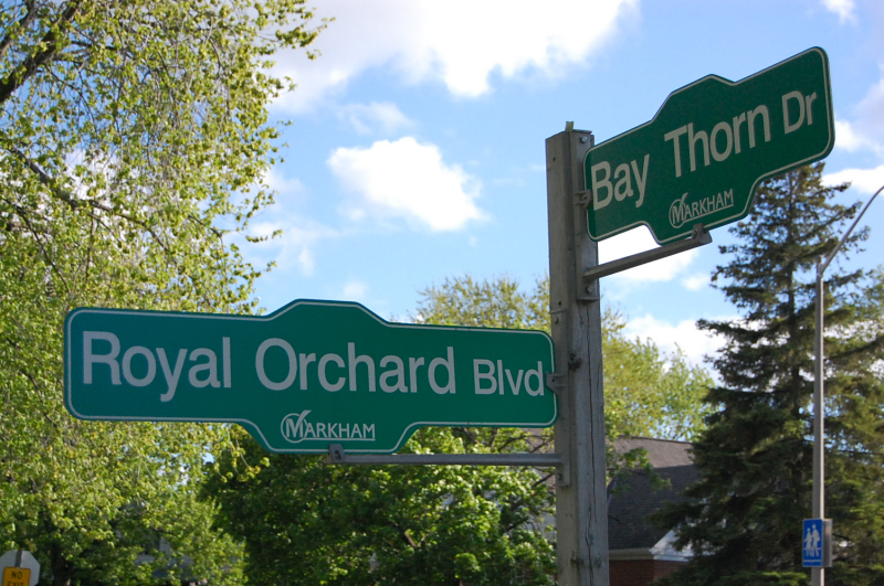 새빛장로교회 (Thornhill New Light Presbyterian Church) | 149 Bay Thorn Dr, Thornhill, ON L3T 3V2, Canada