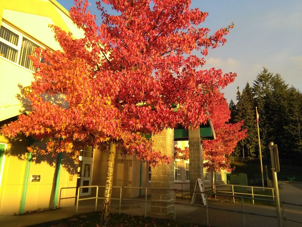 Hampton Park Elementary School | 1760 Paddock Dr, Coquitlam, BC V3E 3N8, Canada | Phone: (604) 464-2549