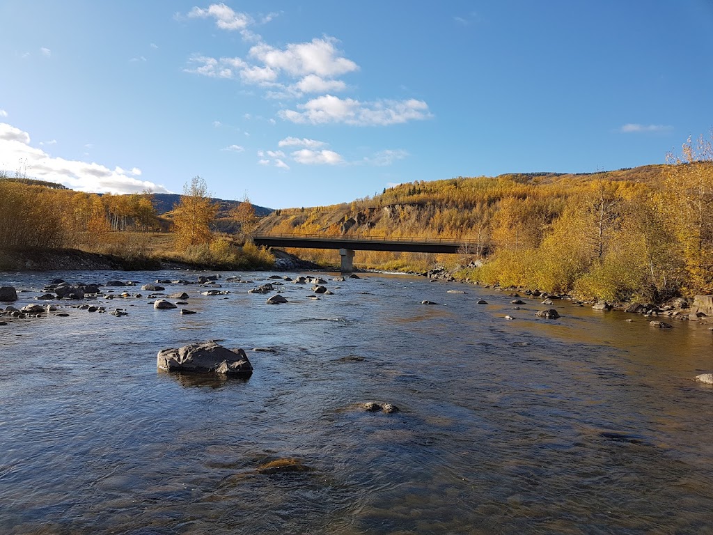 Kingfisher Aquatics Ltd. | 23 Otterbury Ave, Red Deer, AB T4N 4Z8, Canada | Phone: (403) 877-1787