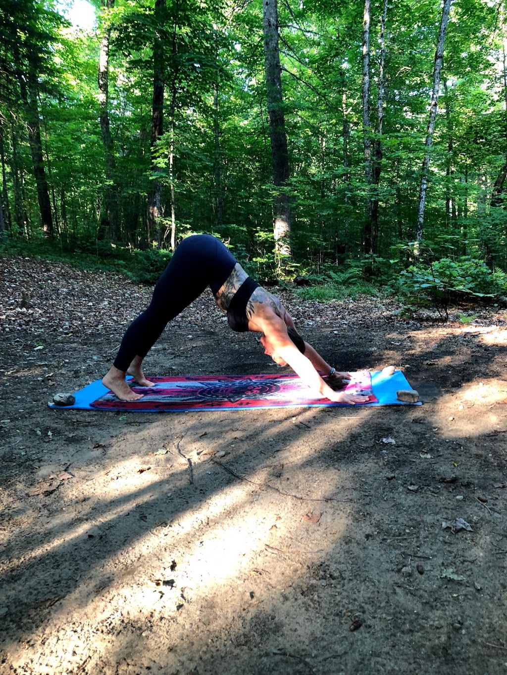 Premium PT & Bootcamps | 17665 Leslie St #8, Newmarket, ON L3Y 3E4, Canada | Phone: (905) 392-0708