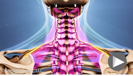 Dr. Joseph S. Oliva, Chiropractic Specialist / Woodbridge Rehab  | 4600 Hwy 7 Ste. 105, Woodbridge, ON L4L 4Y7, Canada | Phone: (905) 856-4444