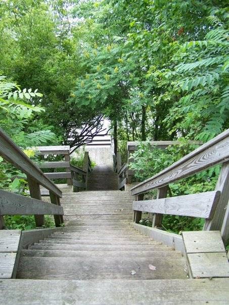 Wings Over the Lake | 2924 Lakeshore Rd, Applegate, MI 48401, USA | Phone: (810) 359-2800