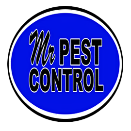 Mr Pest Control | 6 Maplehill Dr, Shanty Bay, ON L0L 2L0, Canada | Phone: (705) 739-7378