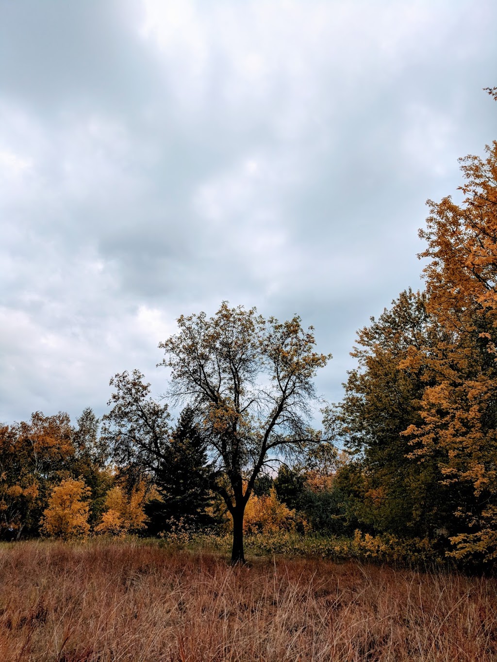 Henteleff Park | 1964 St Marys Rd, Winnipeg, MB R2N 4G8, Canada