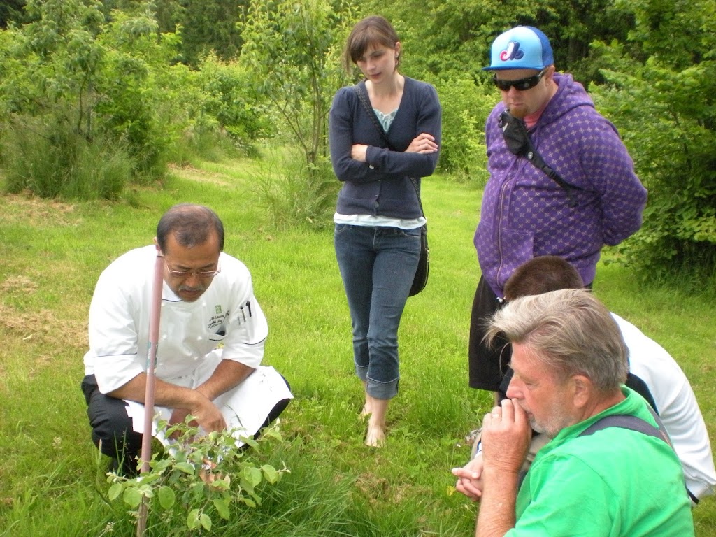 Healing Farm | 5971 Old East Rd, Victoria, BC V8Y 1V7, Canada | Phone: (250) 652-6456