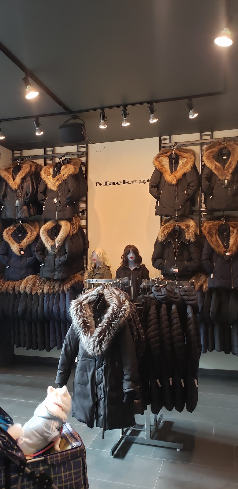 Posh | 1 Promenade Cir, Thornhill, ON L4J 4P8, Canada | Phone: (905) 886-7674