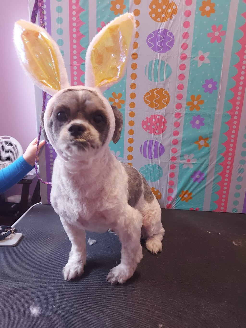 Tys Furtique | 8 Maple Dr, Shearwater, NS B3G 1A0, Canada | Phone: (902) 719-2374