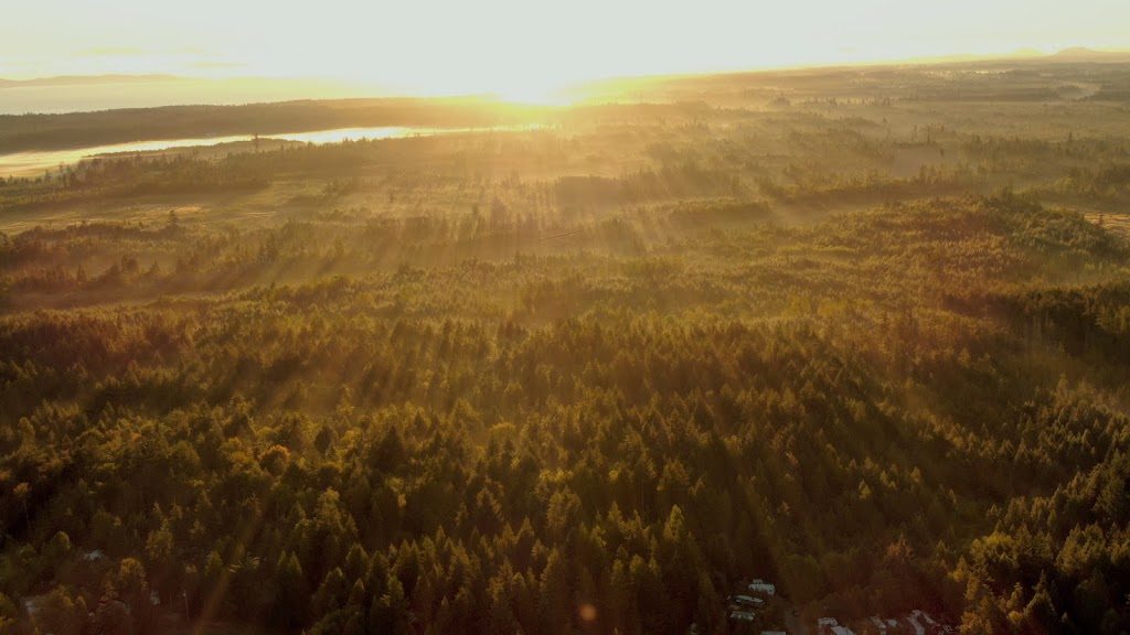 Dd aerial photography | 1095 Spider Lake Rd, Qualicum Beach, BC V9K 2L7, Canada | Phone: (250) 927-3283