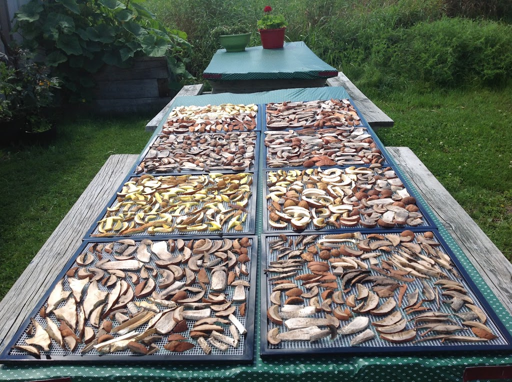 Les champignons du Lac-Édouard | 265 Rue Principale, Lac-Édouard, QC G0X 3N0, Canada | Phone: (819) 653-2052