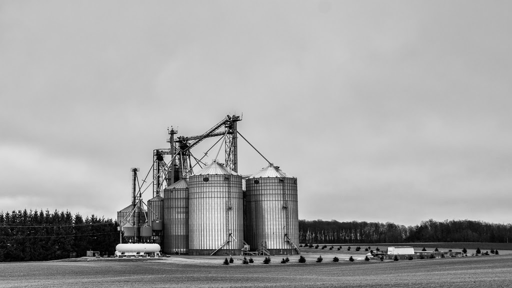 Woodrill Farms | 62160 Dufferin County Rd 3, Orton, ON L0N 1N0, Canada | Phone: (519) 928-1101