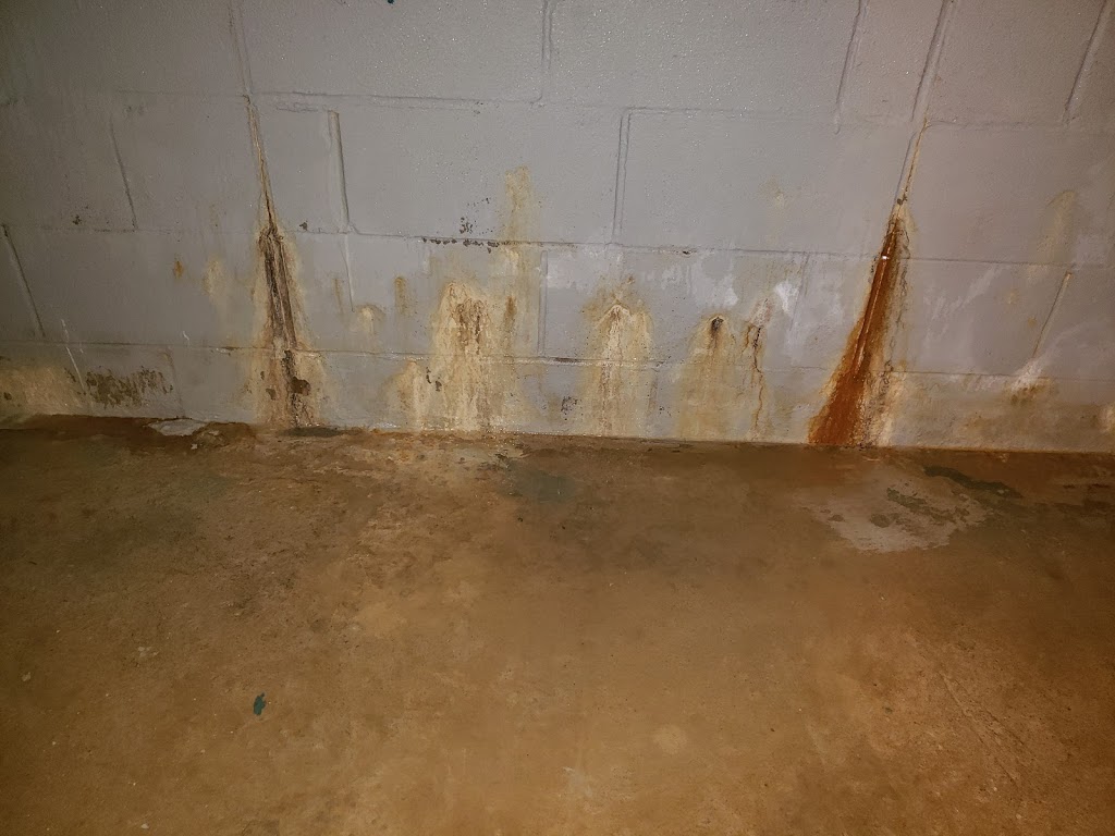 Complete Home Inspections | 537 Queens Bush Rd, Port Elgin, ON N0H 2C4, Canada | Phone: (519) 323-8008