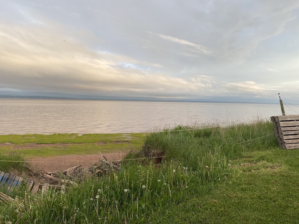 Down by the Bay Camping | 7658 Nova Scotia Trunk 2, Great Village, NS B0M 1L0, Canada | Phone: (902) 957-0054