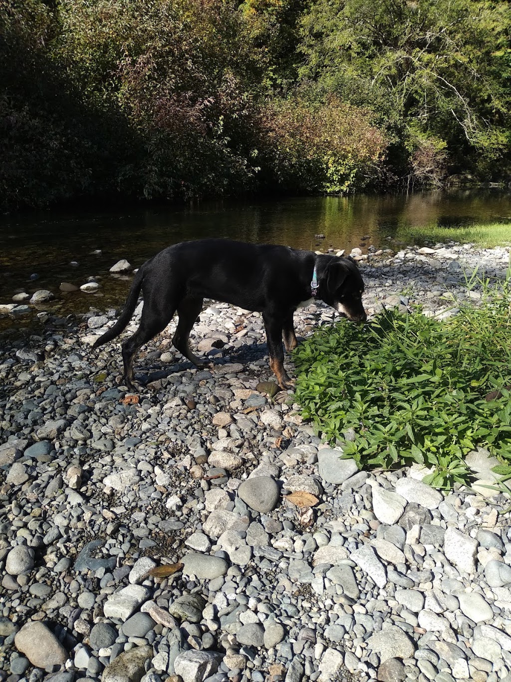 Bright Angel Regional Park | 4528 Tigwell Rd, Duncan, BC V9L 6N2, Canada | Phone: (250) 746-2500