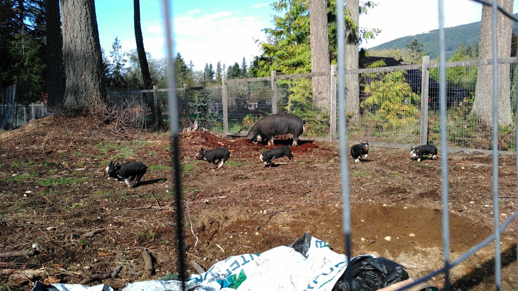 Craigland Farm | 331 Hough Rd, Gibsons, BC V0N 1V4, Canada | Phone: (604) 886-3700