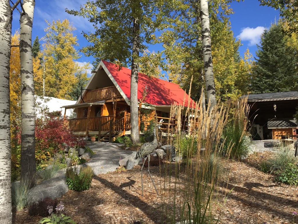 Wildflower Wellness and Yoga Centre | 10 Eastview Drive, James River Bridge, AB T0M 1C0, Canada | Phone: (403) 728-3152