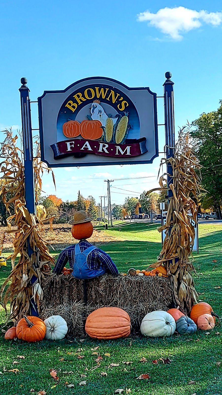 Browns Farm | *** Corn available at farm in Season Check farm Facebook Page for Corn availability****, 1809 Penetanguishene Rd, Barrie, ON L4M 4Y8, Canada | Phone: (705) 726-8017