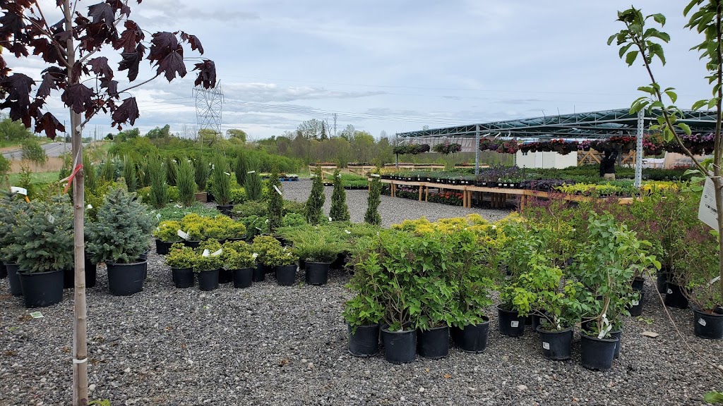 La Belle’s Garden Centre | 6th Concession Rd, Pickering, ON L1X 0J6, Canada | Phone: (905) 391-0912