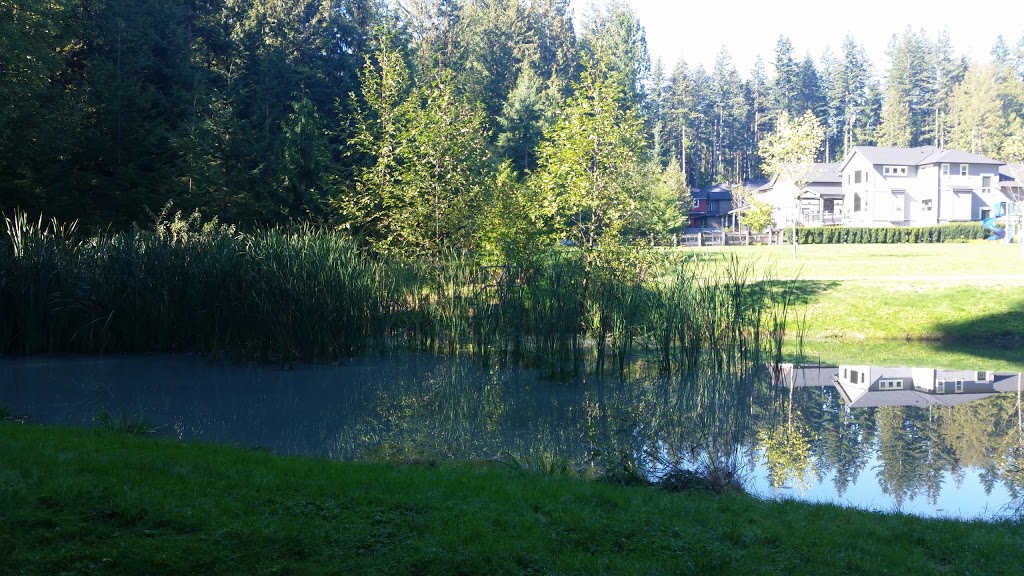 Marguerite Park | 1480 Marguerite St, Coquitlam, BC V3E 0A7, Canada | Phone: (604) 927-3000