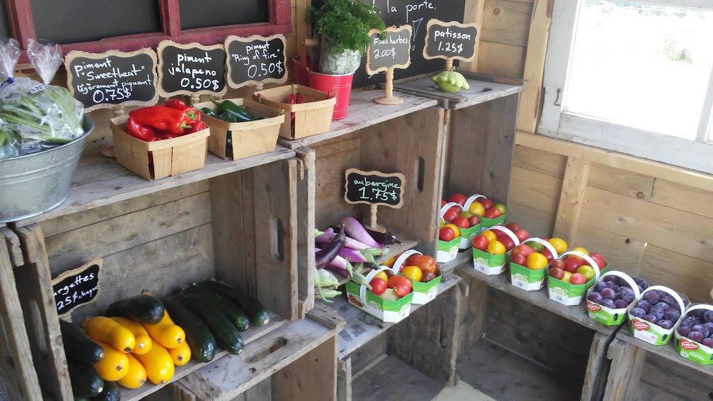 Ferme Poulin-Turcotte | 2355 Chem. Royal, Sainte-Famille, QC G0A 3P0, Canada | Phone: (418) 829-3515