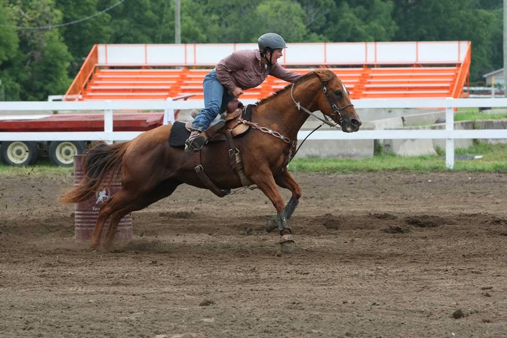 Sutton Agricultural Society | 3 Fairpark Ln, Sutton, ON L0E 1R0, Canada | Phone: (905) 722-3165