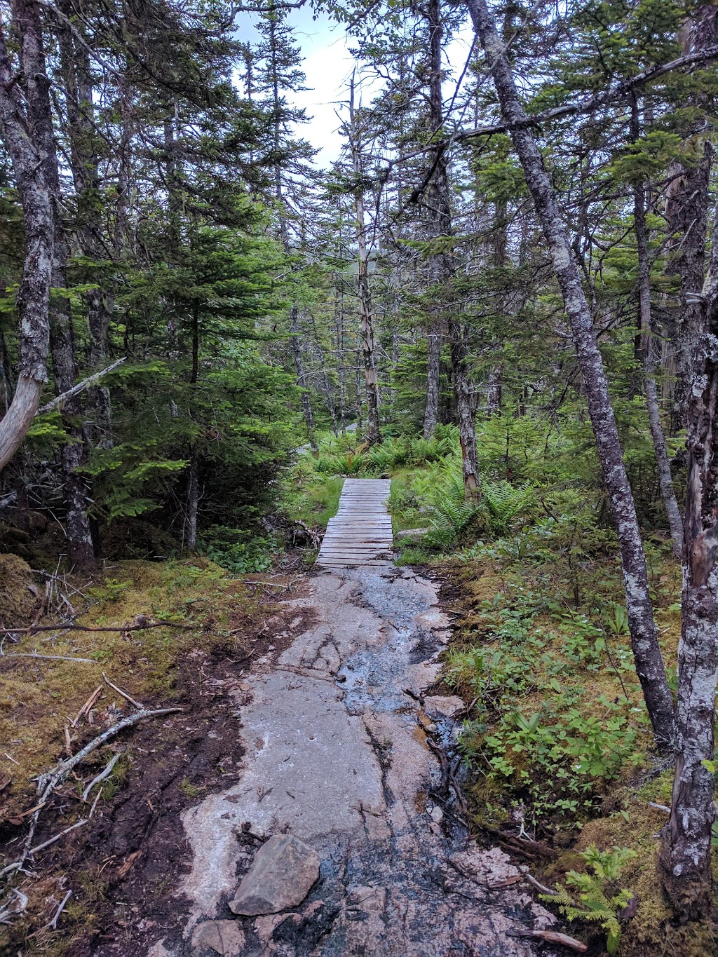 Butter Pot Provincial Park | Trans-Canada Hwy, Holyrood, NL A0A 2R0, Canada | Phone: (709) 685-1853
