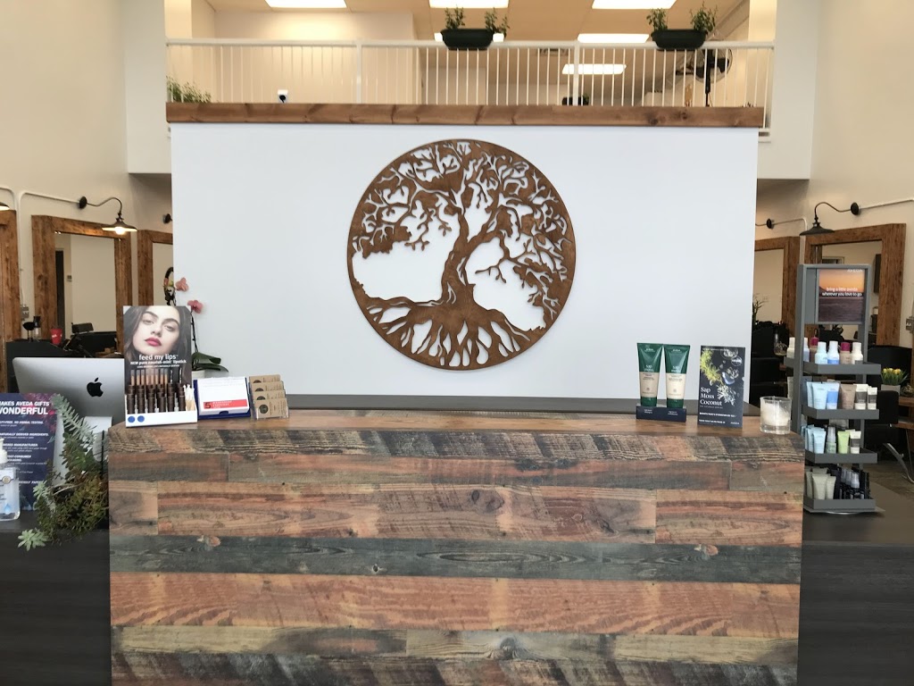 Roots Hair Company | 5710 48 Ave, Camrose, AB T4V 0K1, Canada | Phone: (780) 781-9522