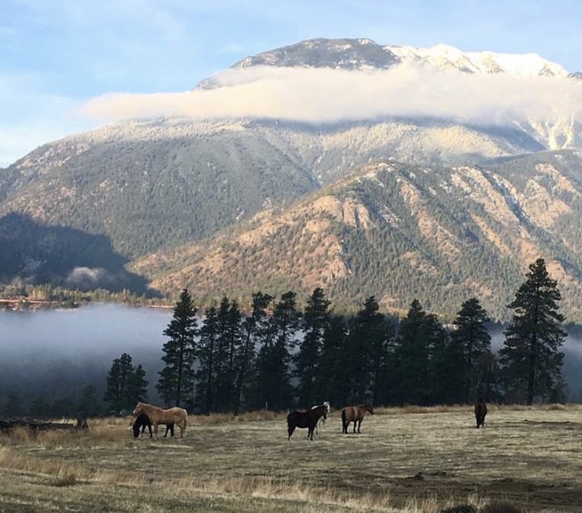 Spapium “Little Prairie” Farm | Spencer Rd S, Lytton, BC V0K 1Z0, Canada | Phone: (604) 819-0969