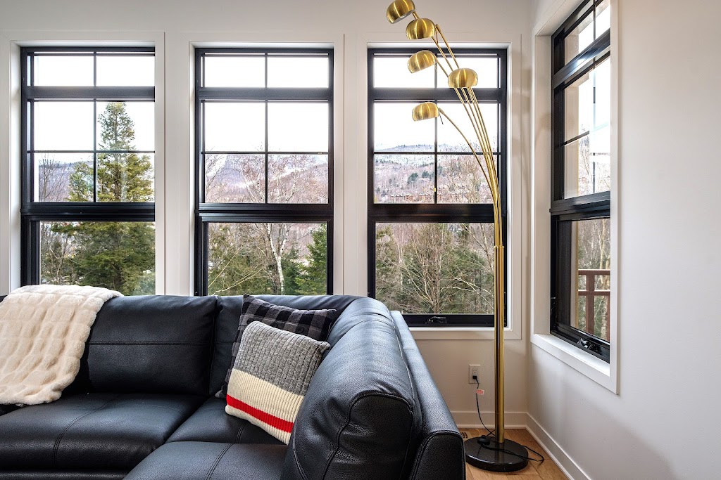 Comfy Buddy-Les-Eaux | 211 Chem. des Quatre-Sommets, Mont-Tremblant, QC J8E 1C6, Canada | Phone: (514) 910-4594
