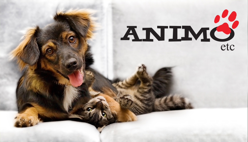 Animo Etc | 323 Rue Cherrier, LÎle-Bizard, QC H9C 2N1, Canada | Phone: (514) 620-4882
