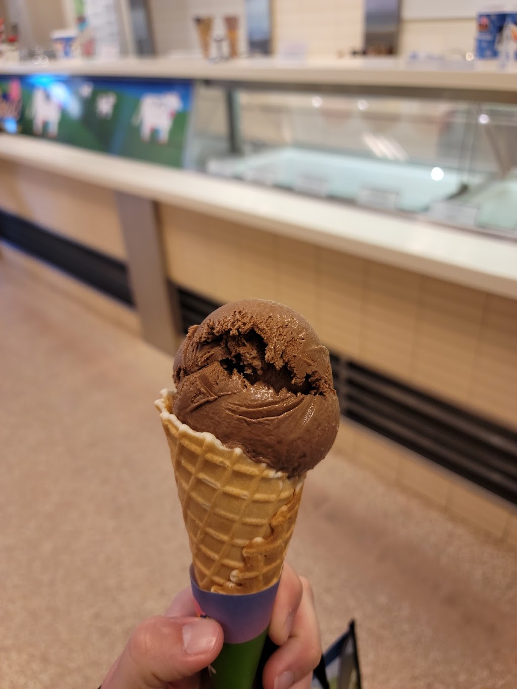 COWS Creamery | 12 Milky Wy, Charlottetown, PE C1E 2E2, Canada | Phone: (902) 628-3614