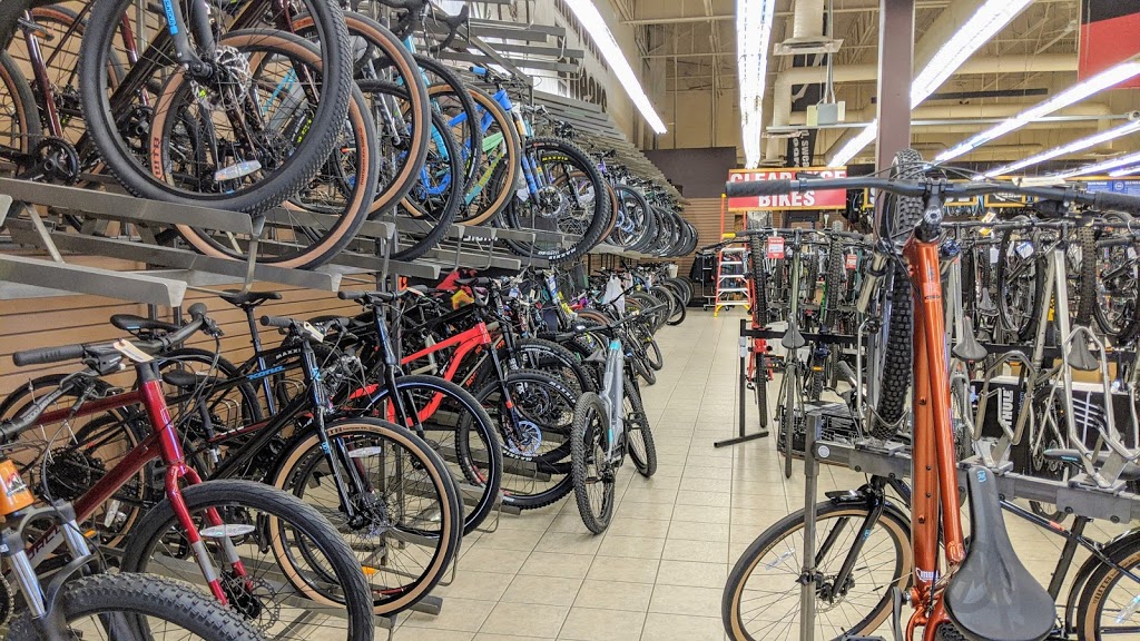 Mud, Sweat and Gears | 15007 Stony Plain Rd, Edmonton, AB T5P 4W1, Canada | Phone: (780) 483-2188