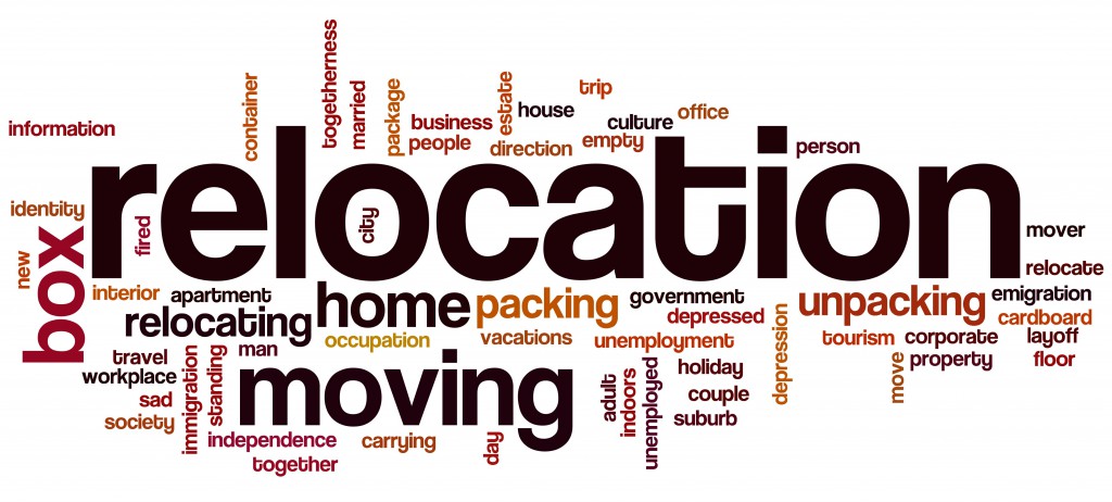 Relocation Consultant Cassidys Transfer & Storage- Sharon Berar | 128 Willowlea Rd, Ottawa, ON K0A 1L0, Canada | Phone: (613) 291-4095